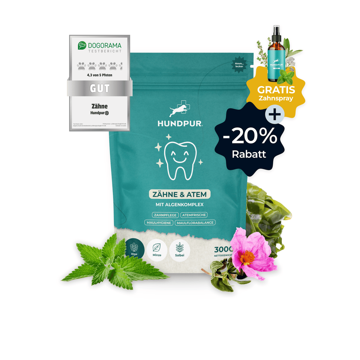 Hundpur® Zähne & Atem 20% Rabatt + GRATIS Dentalspray