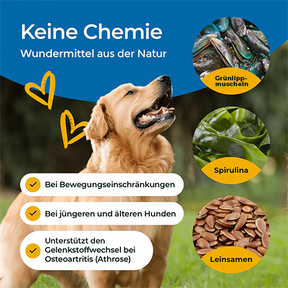 Hundpur® Gelenke - BIG