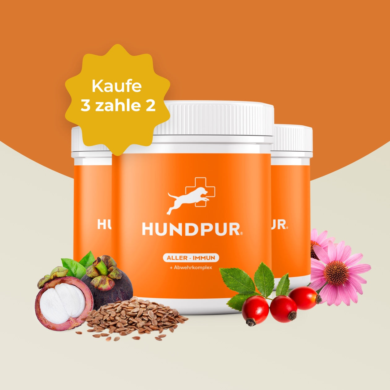 Hundpur® Aller-Immun 3 für 2