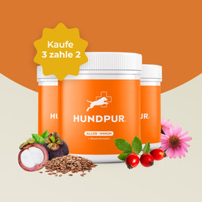 Hundpur® Aller-Immun 3 für 2