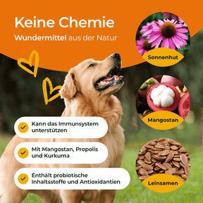Hundpur® Aller-Immun mit Abwehr-Komplex