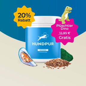 Hundpur® Gelenke mit Grünlippmuschel 20% + Gratis Dino