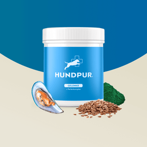 Hundpur® Gelenke mit Grünlippmuschel