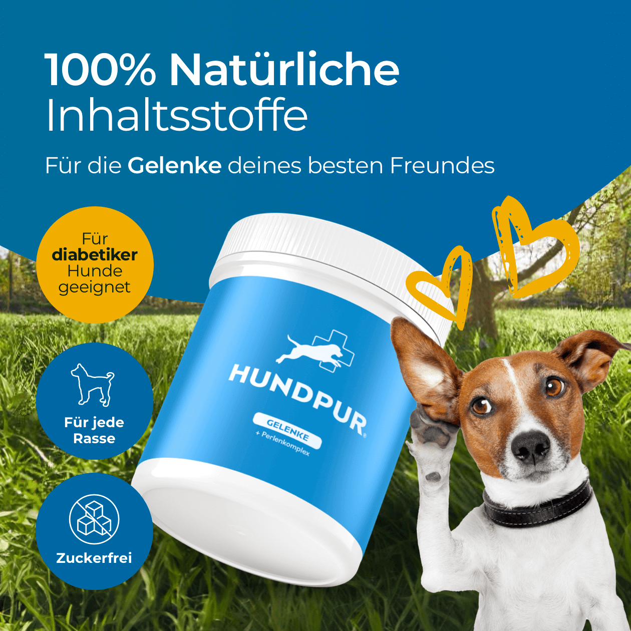 Hundpur® Gelenke 3 für 2