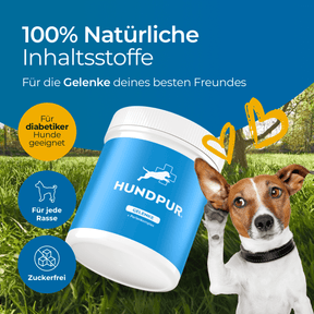 Hundpur® Gelenke 3 für 2