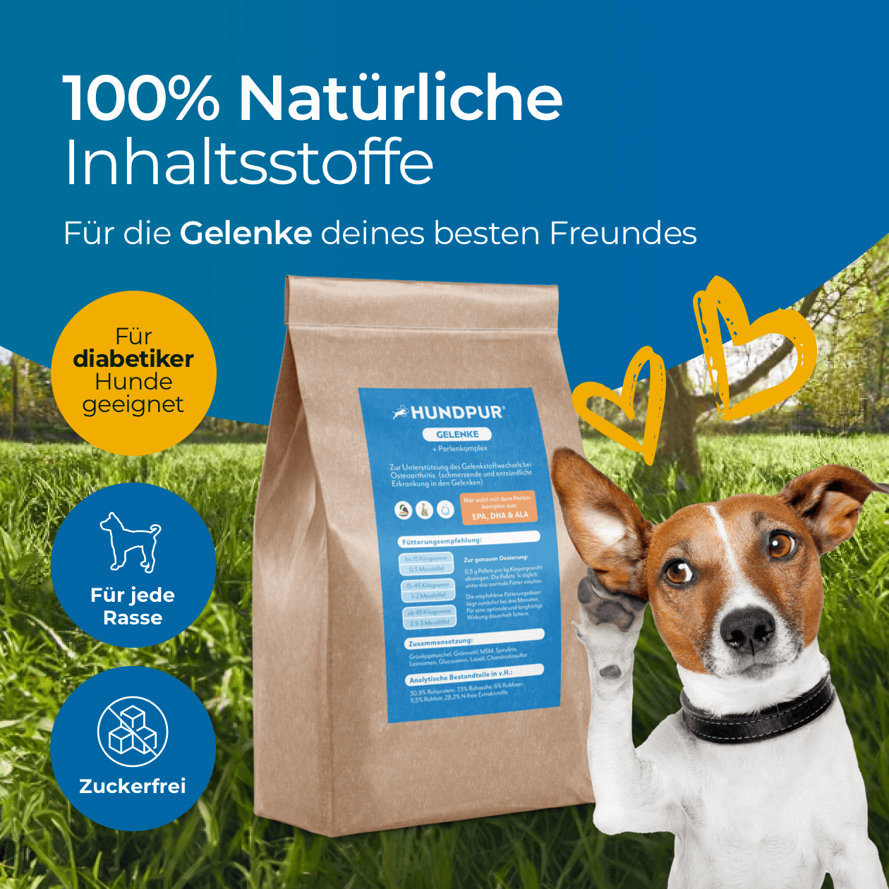 Probepackung - Gelenke