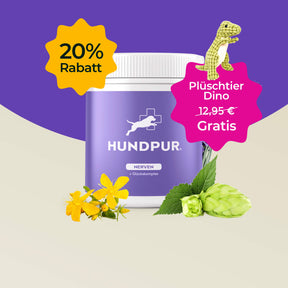Hundpur® Nerven mit Glückskomplex 20% + Gratis Dino