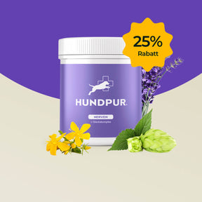 Hundpur® Nerven mit Glückskomplex 25% Rabatt