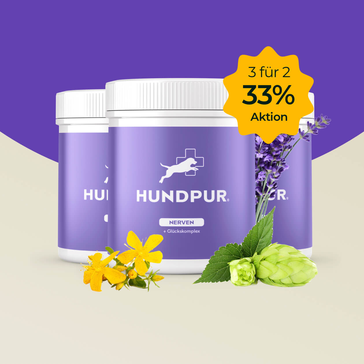 Hundpur® Nerven 3 für 2