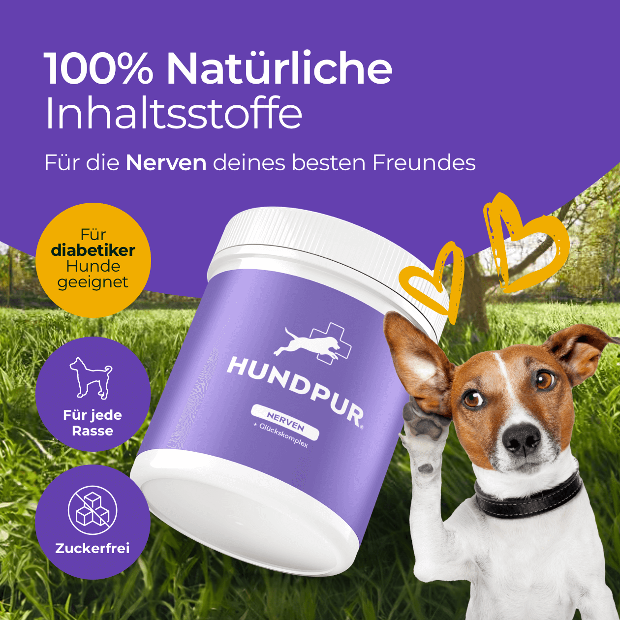 Hundpur® Nerven mit Glückskomplex