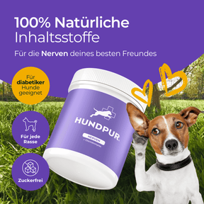 Hundpur® Nerven 3 für 2