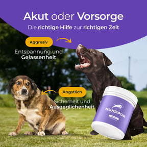 Hundpur® Nerven mit Glückskomplex