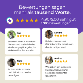 Hundpur® Nerven mit Glückskomplex