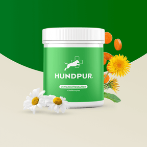 Hundpur® Verdauungsglück mit Probiotika