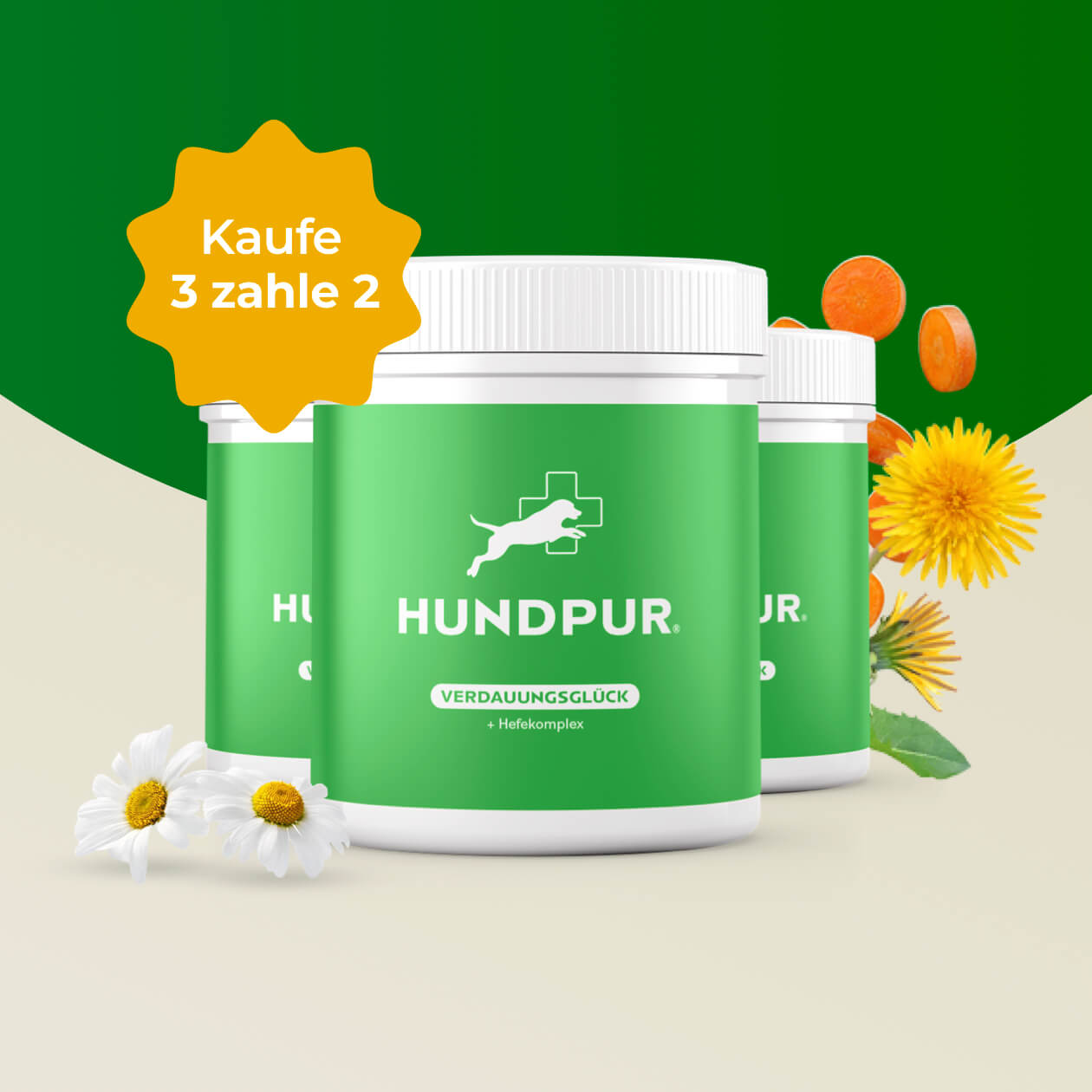 Hundpur® Verdauung 3 für 2