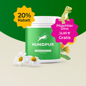 Hundpur® Verdauungsglück mit Probiotika 20% + Gratis Dino