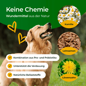Hundpur® Verdauung 3 für 2