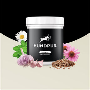 Hundpur® Z-Protect 3 für 2