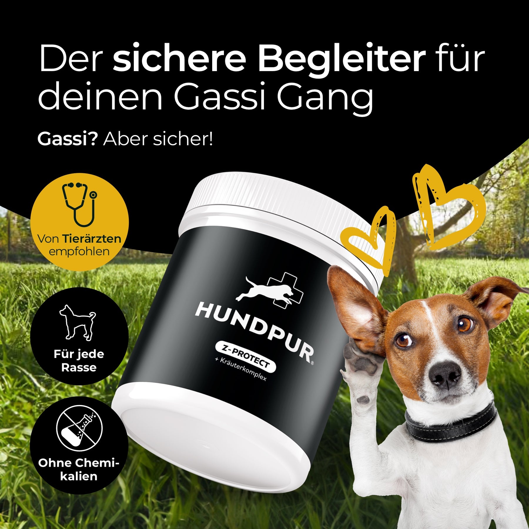 Hundpur® Z-Protect mit Kräuterkomplex
