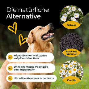 Hundpur® Z-Protect mit Kräuterkomplex