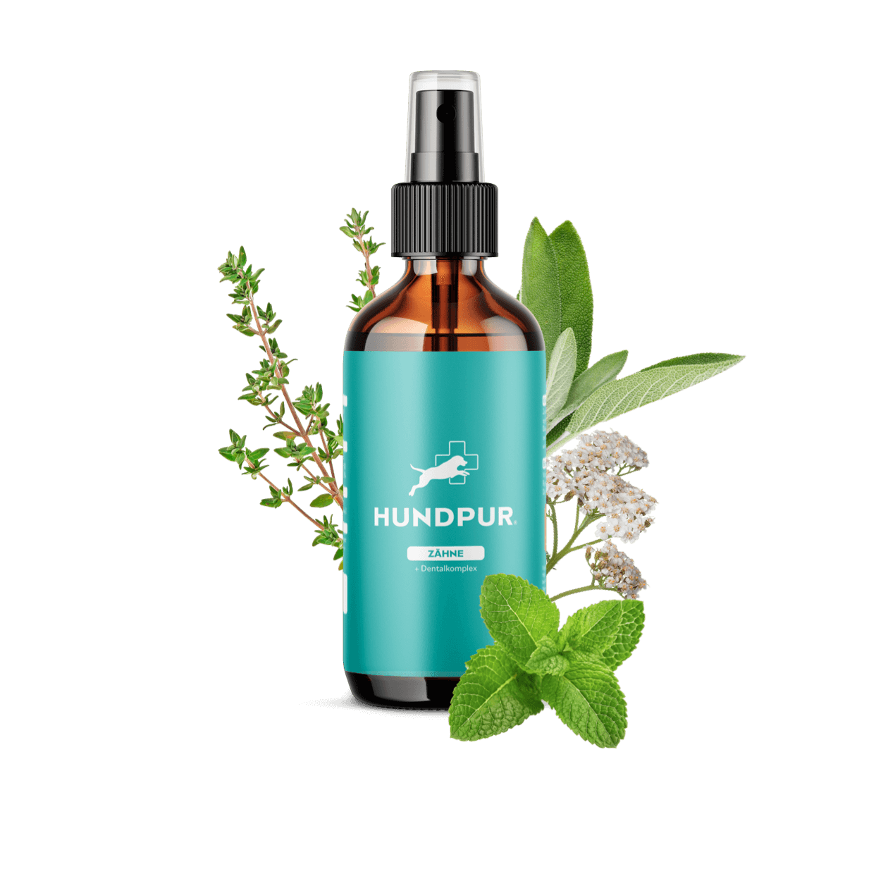 Hundpur® Dentalspray 3 für 2