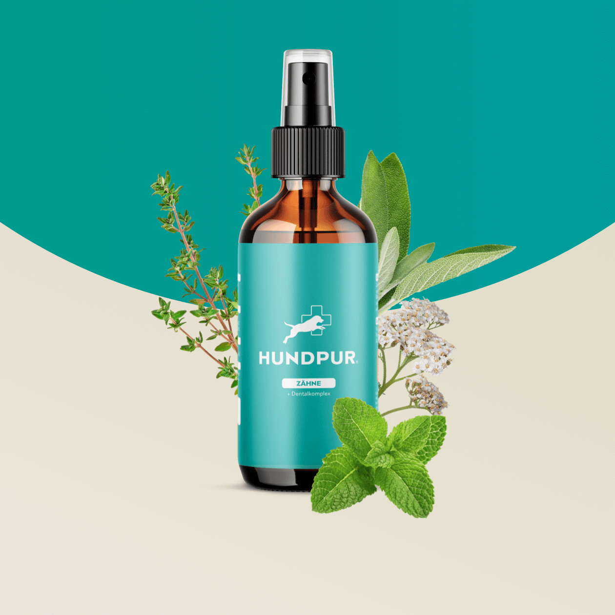 Hundpur® Dentalspray für Hunde