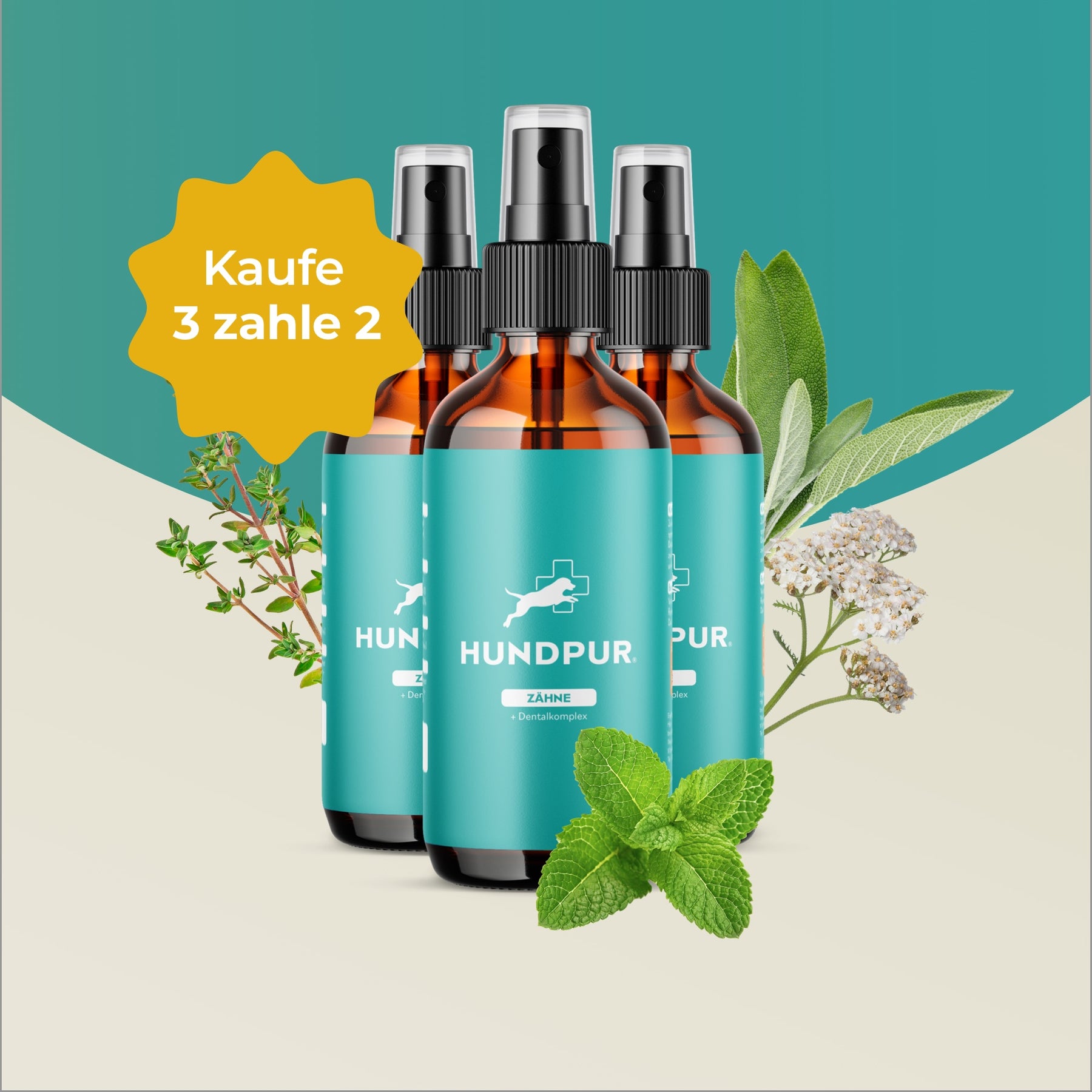 Hundpur® Dentalspray 3 für 2