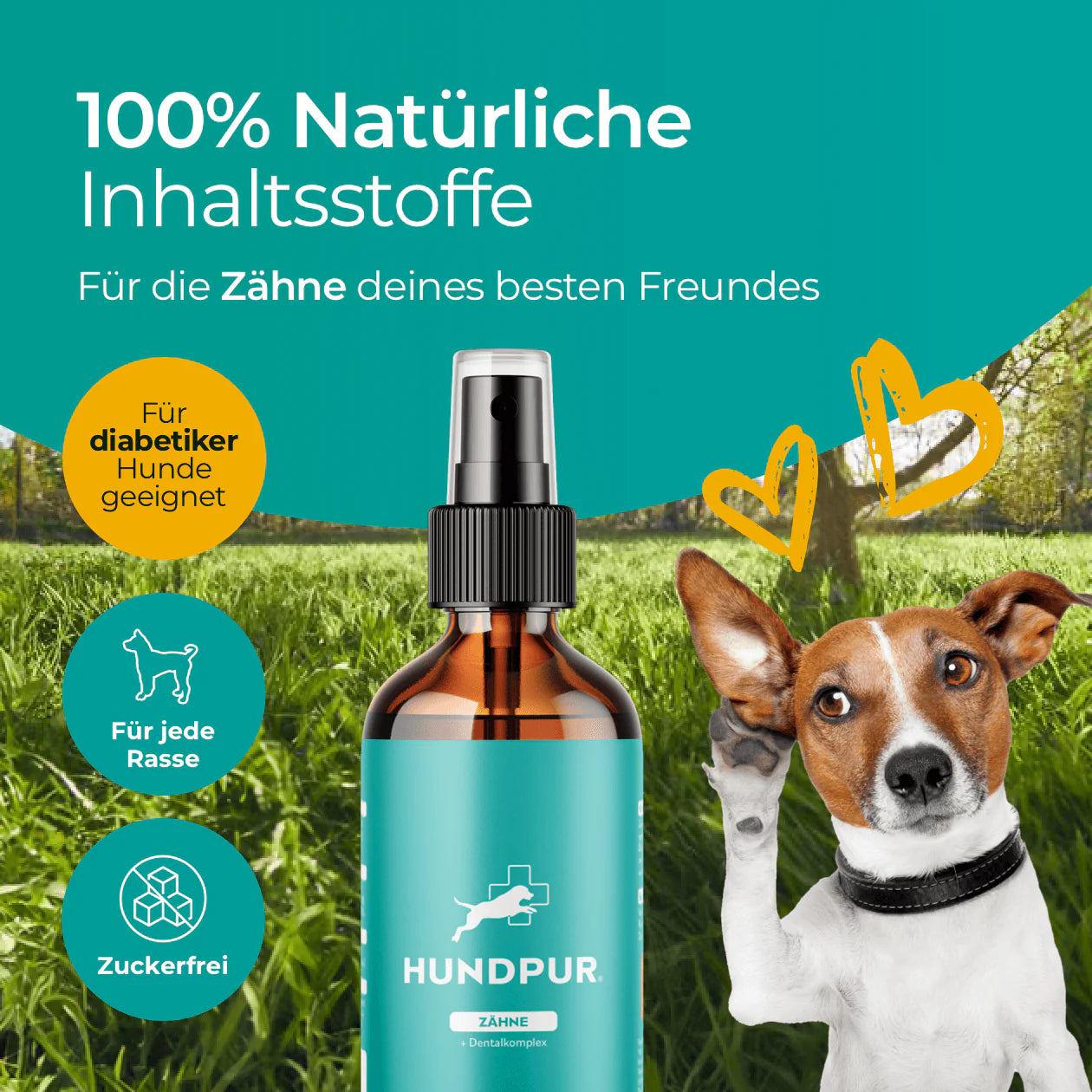 Hundpur® Zähne & Atem & Dentalspray -30% Rabatt