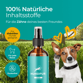 Hundpur® Dentalspray für Hunde