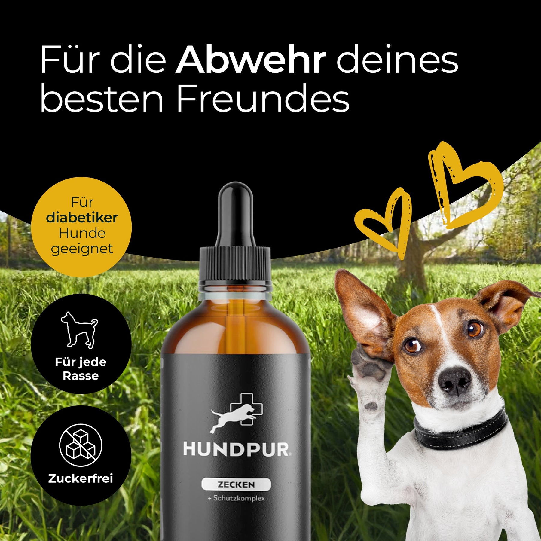 Hundpur® Zecken Tinktur mit Schutzkomplex 40% Rabatt