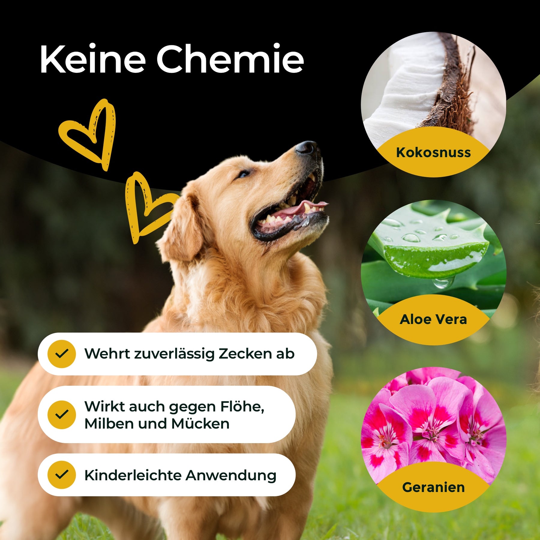 Hundpur® Zeckenschutz