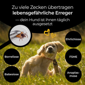 Hundpur® Zeckenschutz