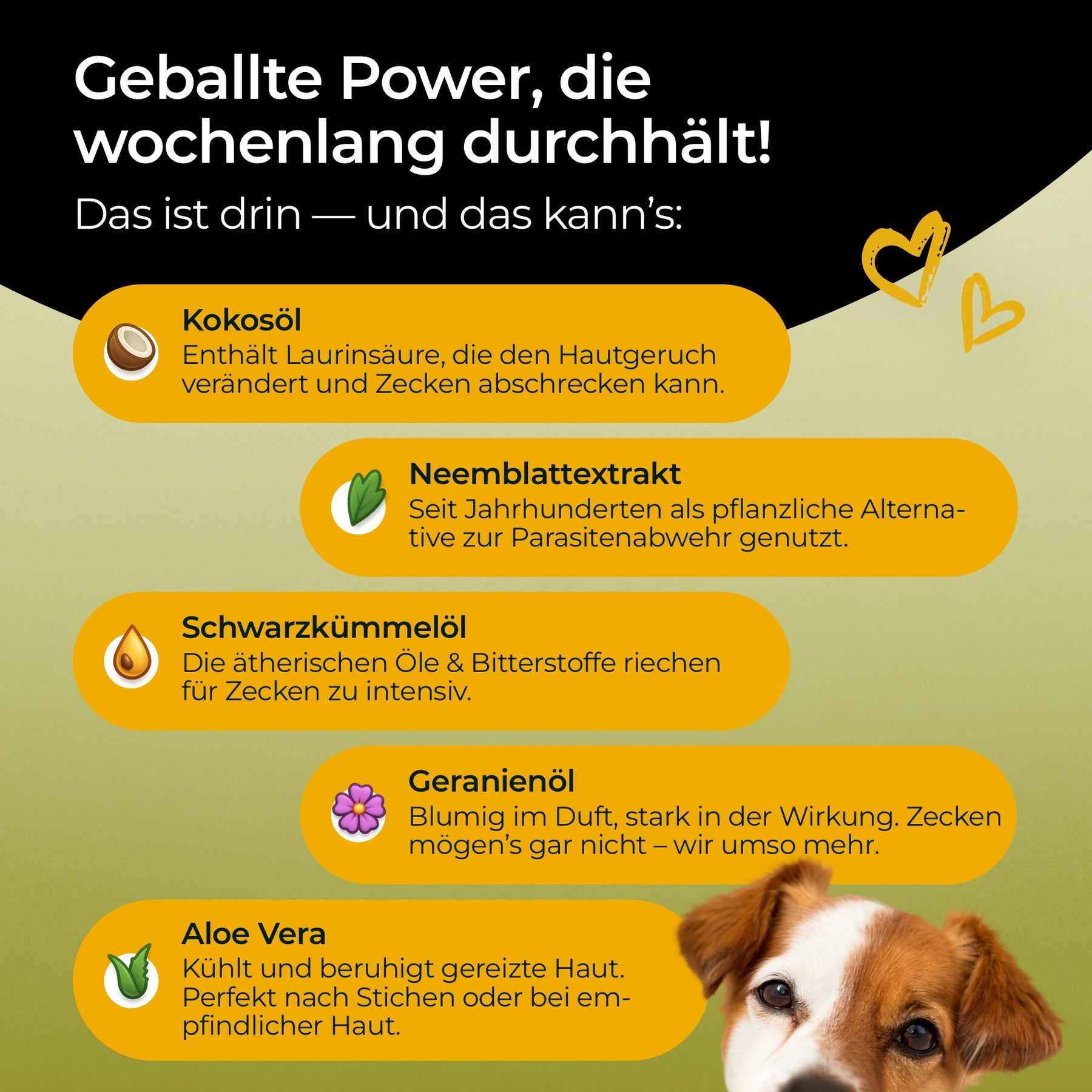 Hundpur® Zeckenschutz