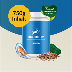 Hundpur® Gelenke - BIG
