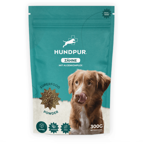 Hundpur® Zähne & Atem & Dentalspray -30% Rabatt