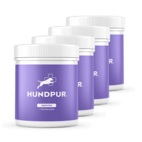 Hundpur® Nerven 3 für 2
