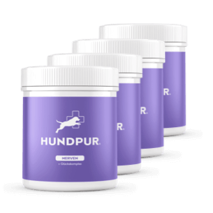Hundpur® Nerven 3 für 2