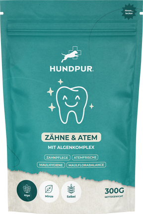 Denti Hundpur® con complesso dentale