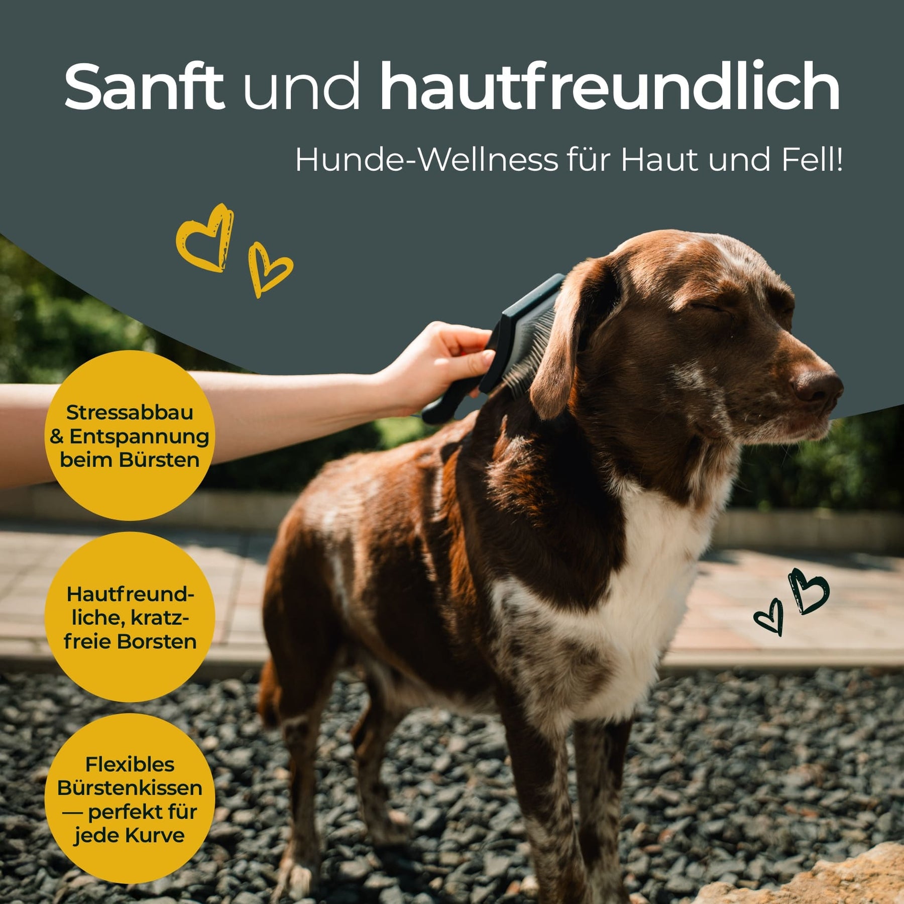 Hundpur® Slicker Bürste Größe L