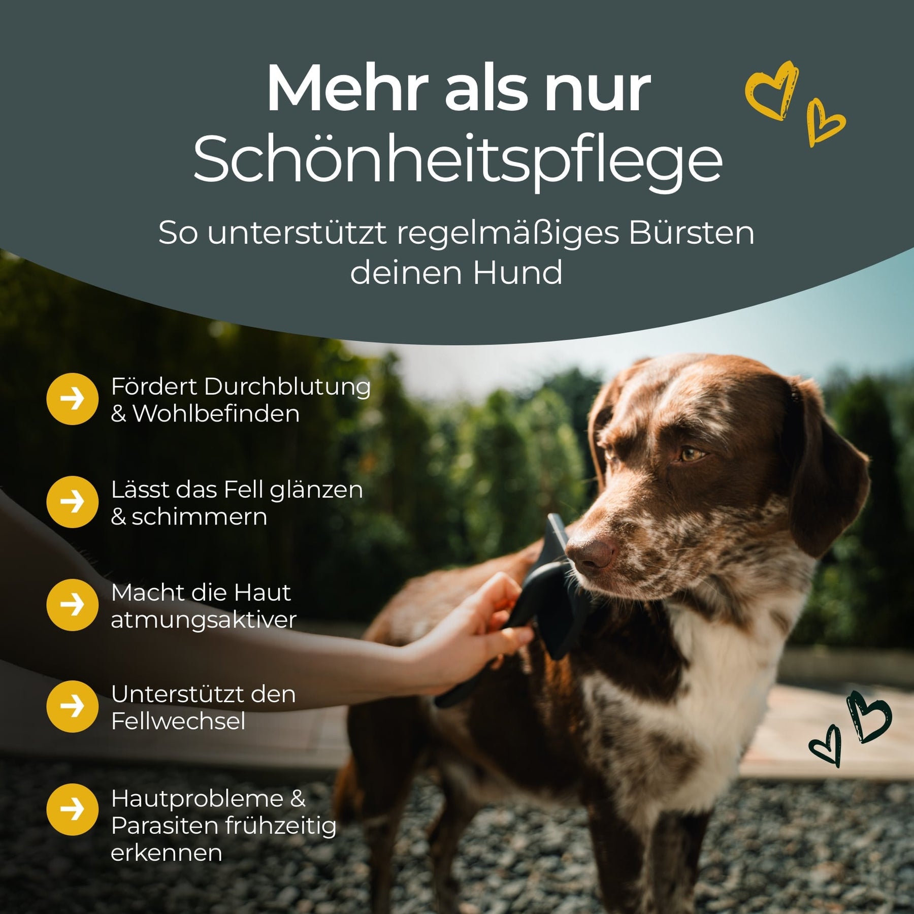 Hundpur® Slicker Bürste Größe L