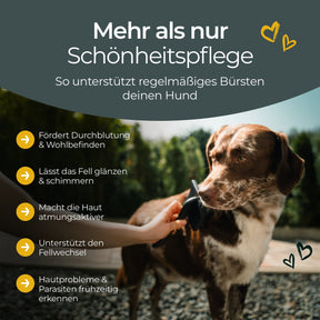 Hundpur® Slicker Bürste Größe L
