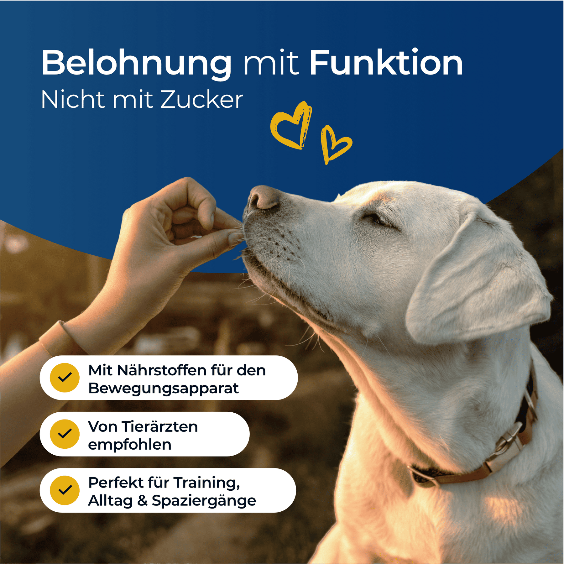 Giunti Hundpur® con complesso di perle