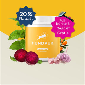Hundpur® Haut und Fell 20% + Gratis Fellbürste