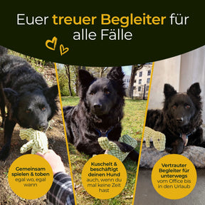 Hundpur® Plüschtier Dino