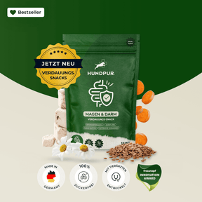 Hundpur® felicità digestiva con lievito complesso