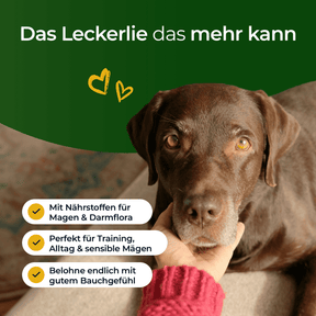 Hundpur® felicità digestiva con lievito complesso
