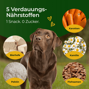 Hundpur® felicità digestiva con lievito complesso