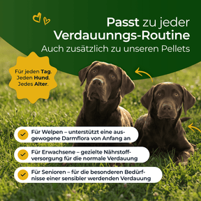 Hundpur® felicità digestiva con lievito complesso