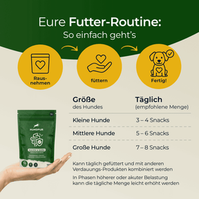 Hundpur® felicità digestiva con lievito complesso