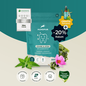 Denti Hundpur® con complesso dentale